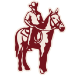 Vilo Fence cowboy-on-horse logo