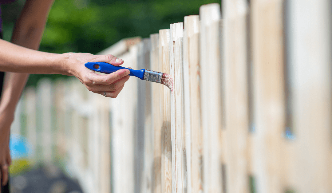 How to Maintain Your Wooden Fence?: Tips and Tricks